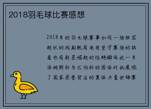 2018羽毛球比赛感想