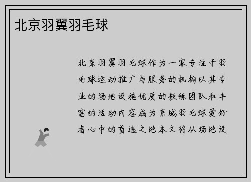 北京羽翼羽毛球